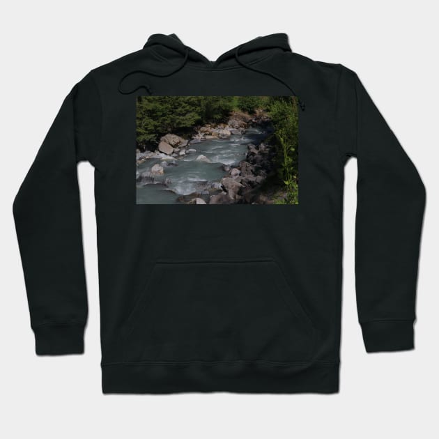 Switzerland - River by the blausee Hoodie by AnimaliaArt